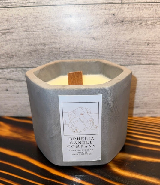 Sweet Orange- Pet Friendly Candle